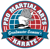 Pro Martial Arts Logo